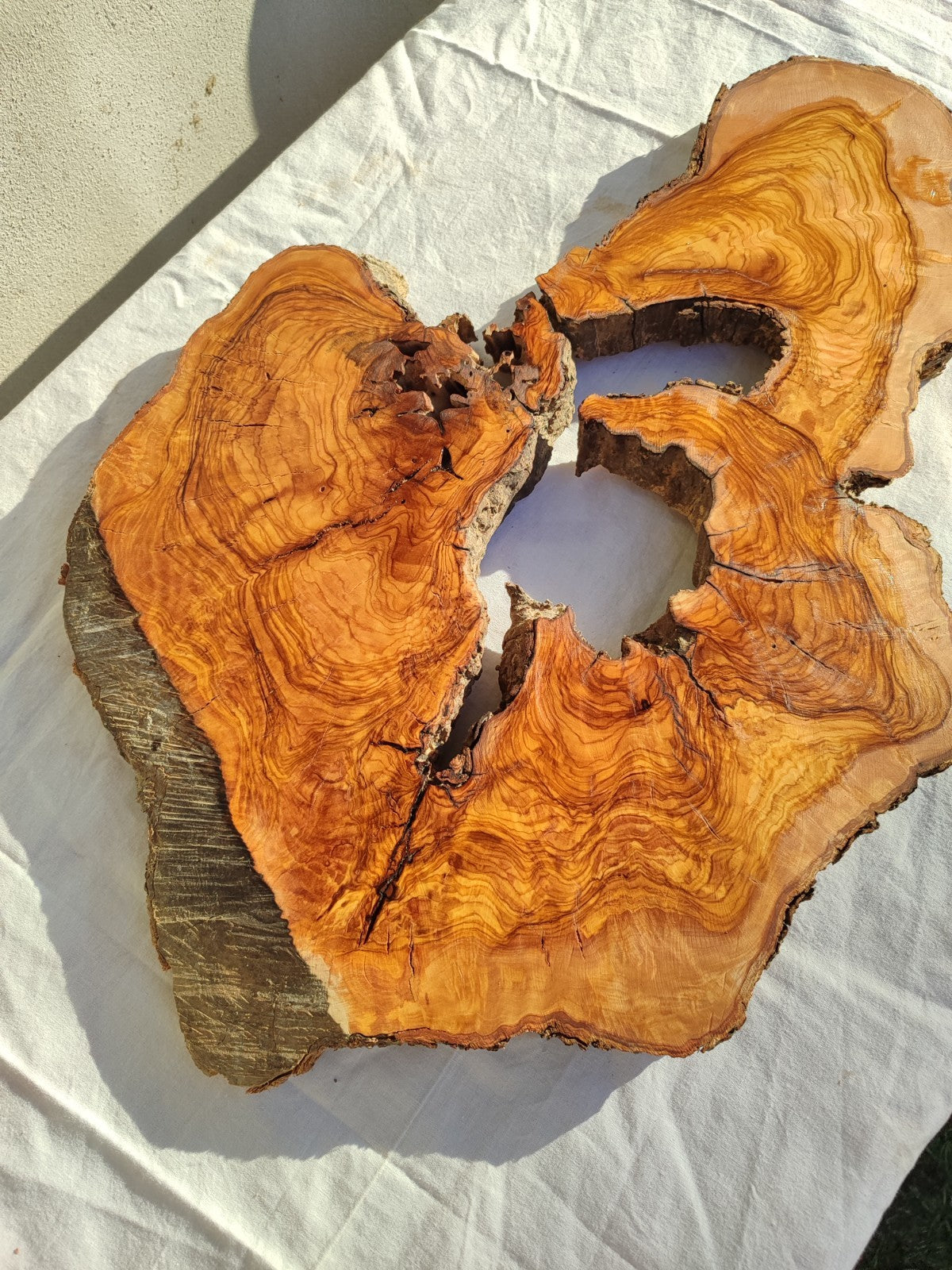 200+ Year Old Olive Wood Slab | Large Live Edge Olive Wood Slice with Voids.