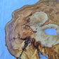 Natural 200+ Year Old Live Edge Wood Slice for Craft & Woodworking.