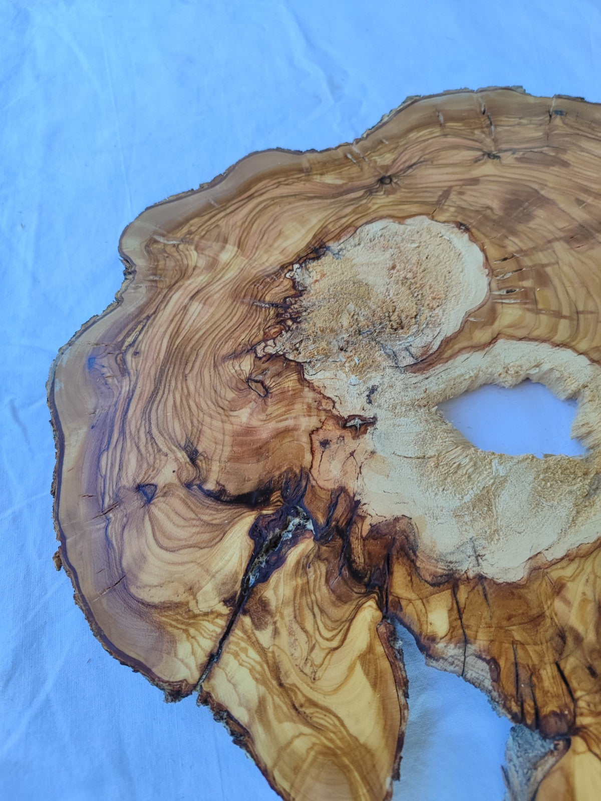 Natural 200+ Year Old Live Edge Wood Slice for Craft & Woodworking.
