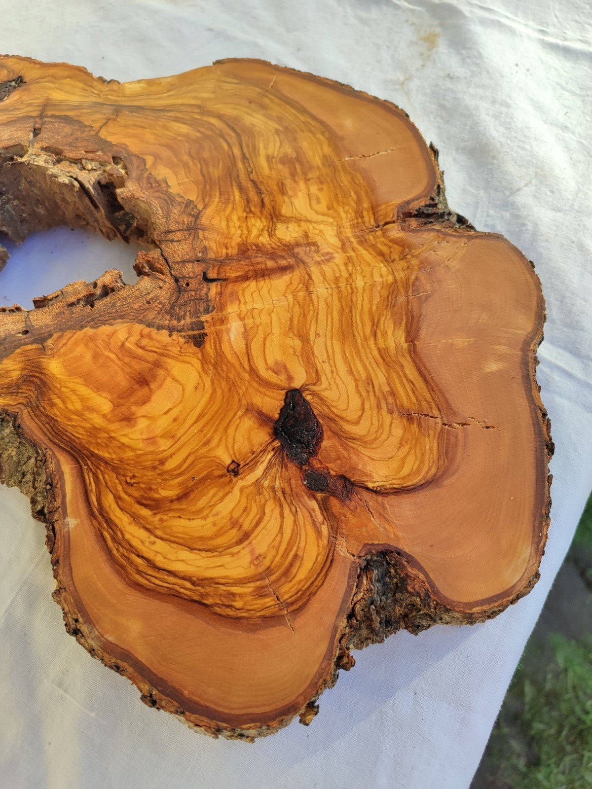 Large Olive Wood Slab 200+ Years | Live Edge Wood Slice 50x34cm for Epoxy.