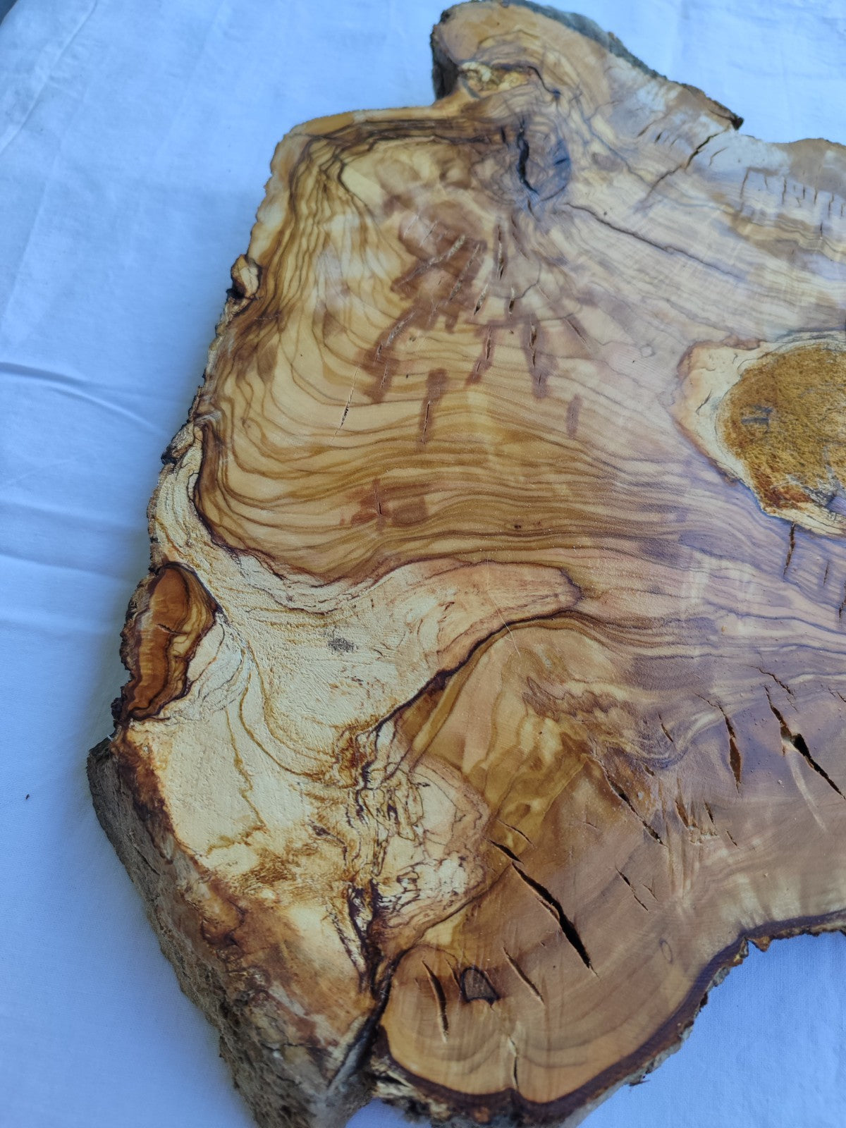 Small Olive Wood Slab 200+ Years | Live Edge Olive Wood Slice for Epoxy.