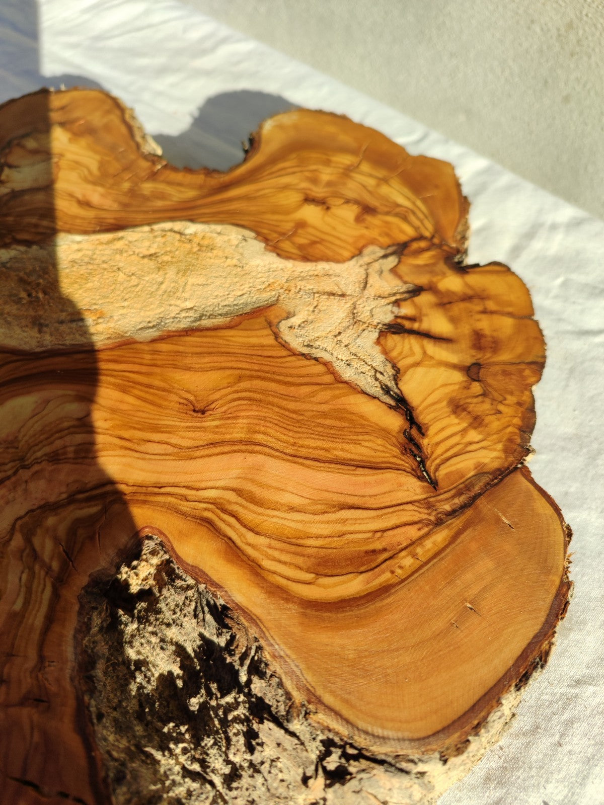 200+ Year Old Live Edge Olive Wood Slice for Epoxy Resin Art.