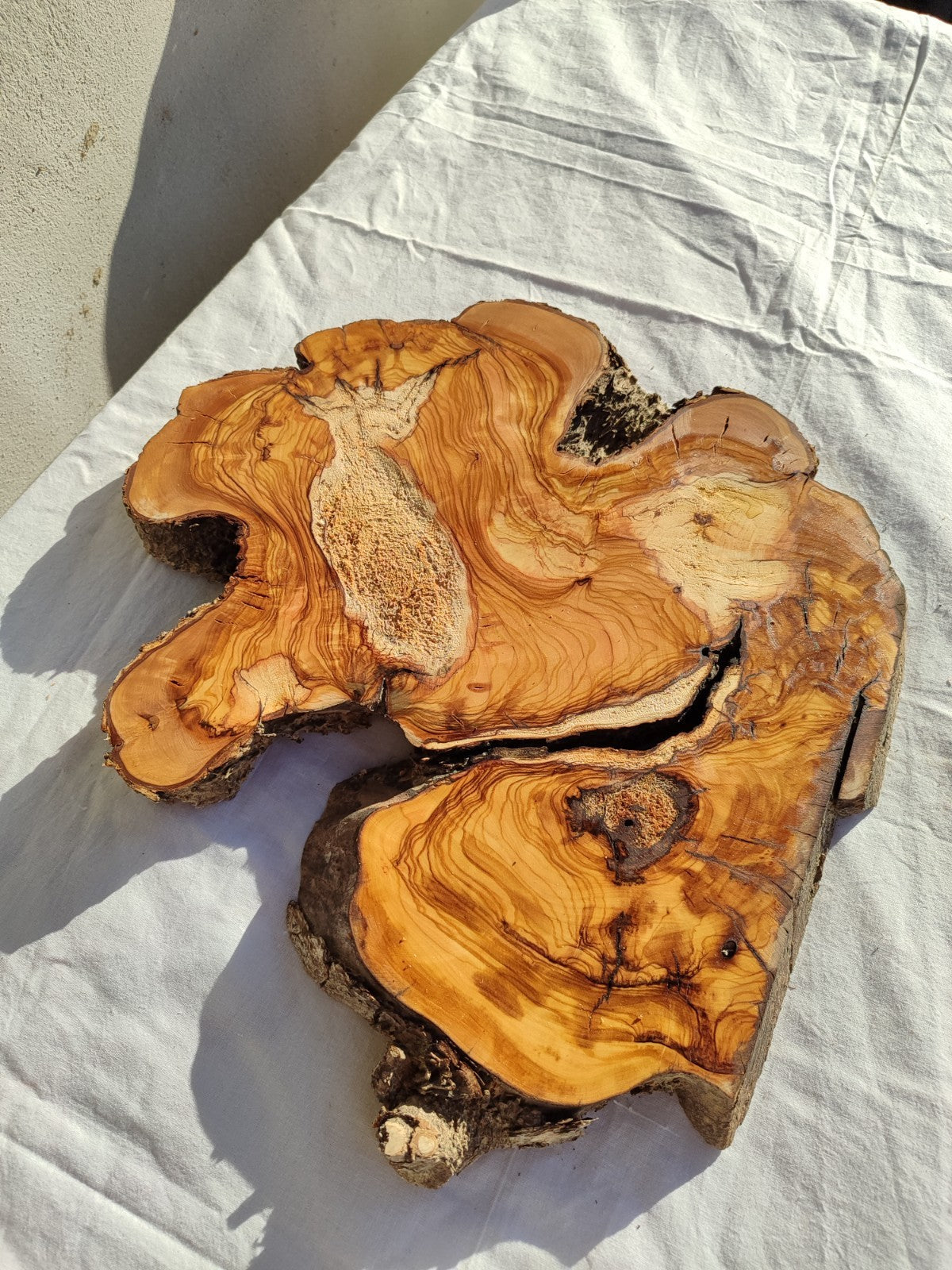 200+ Year Old Live Edge Olive Wood Slice for Epoxy Resin Art.