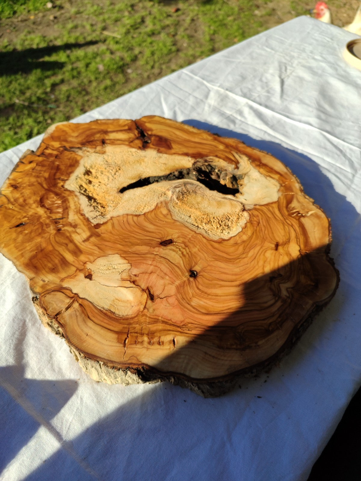 Natural Olive Wood Slab | Live Edge Olive Wood Slice for Craft, Woodworking.