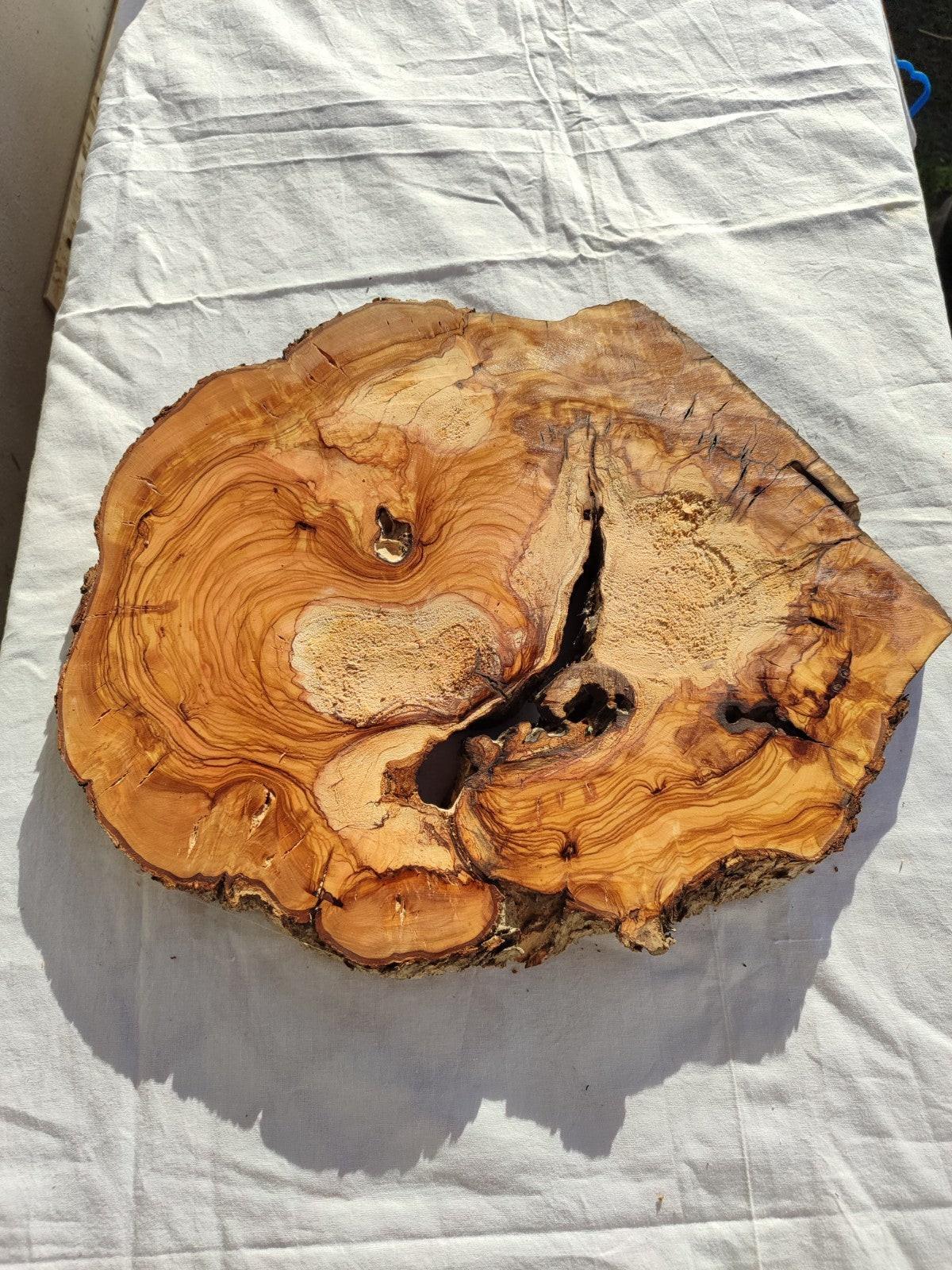 200+ Year Old Olive Wood Slab | Live Edge Olive Wood Slice for Epoxy Resin.