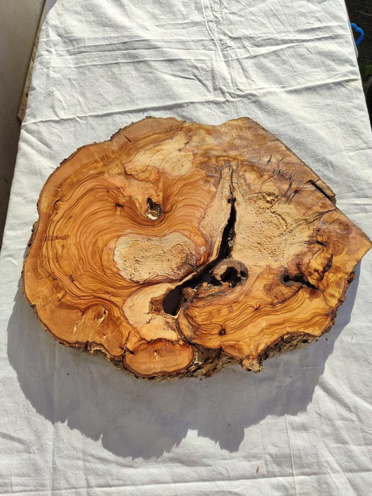 200+ Year Old Olive Wood Slab | Live Edge Olive Wood Slice for Epoxy Resin.