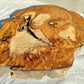 200+ Year Old Olive Wood Slab | Live Edge Olive Wood Slice for Epoxy Resin.