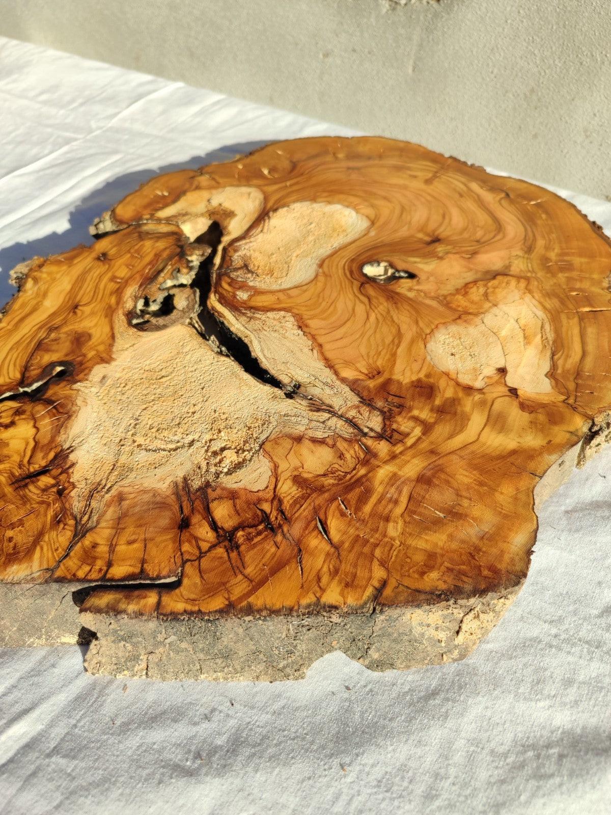 200+ Year Old Olive Wood Slab | Live Edge Olive Wood Slice for Epoxy Resin.