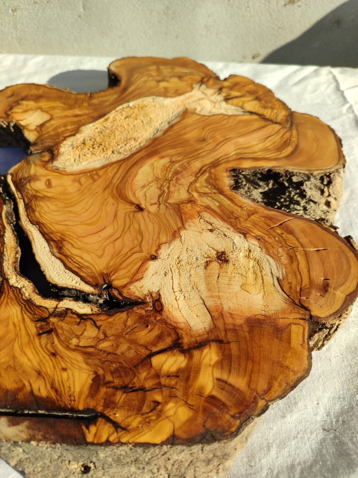 200+ Year Old Live Edge Olive Wood Slice for Epoxy Resin Art.