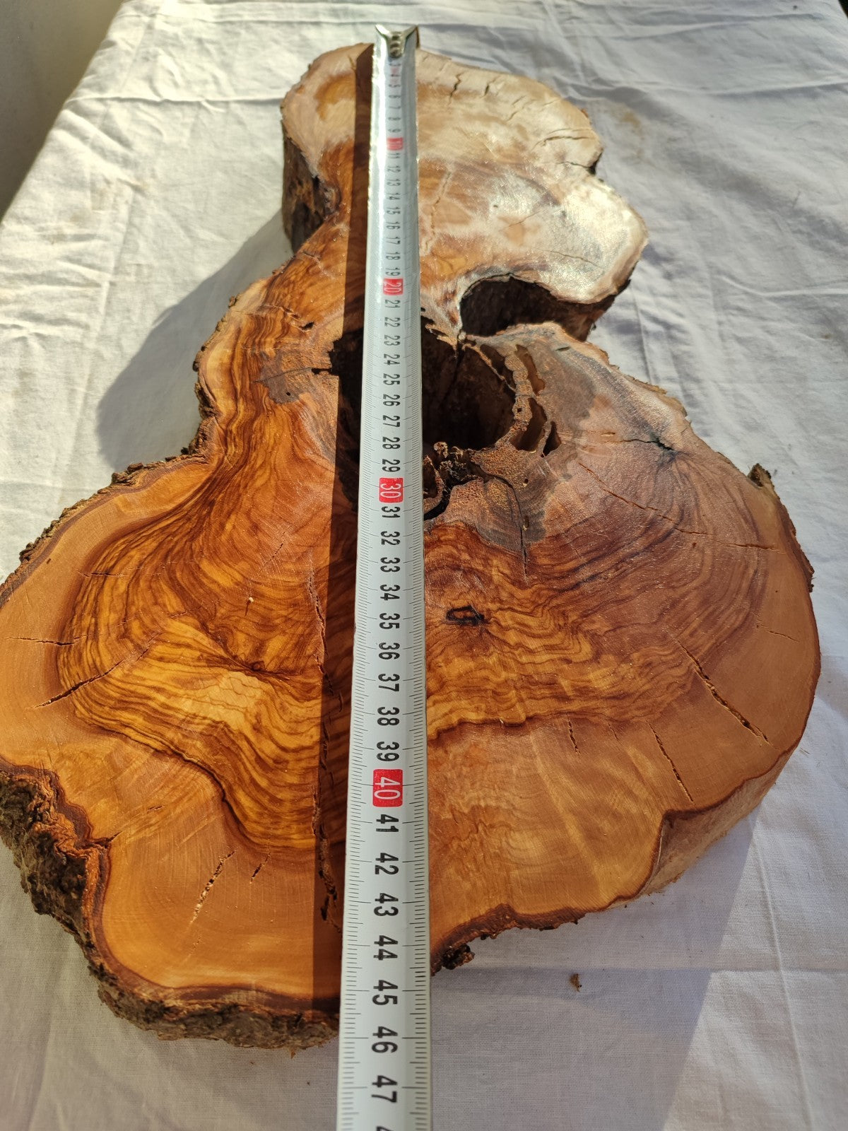 200+ Year Old Olive Wood Slab | Thick Live Edge Olive Wood Slice.