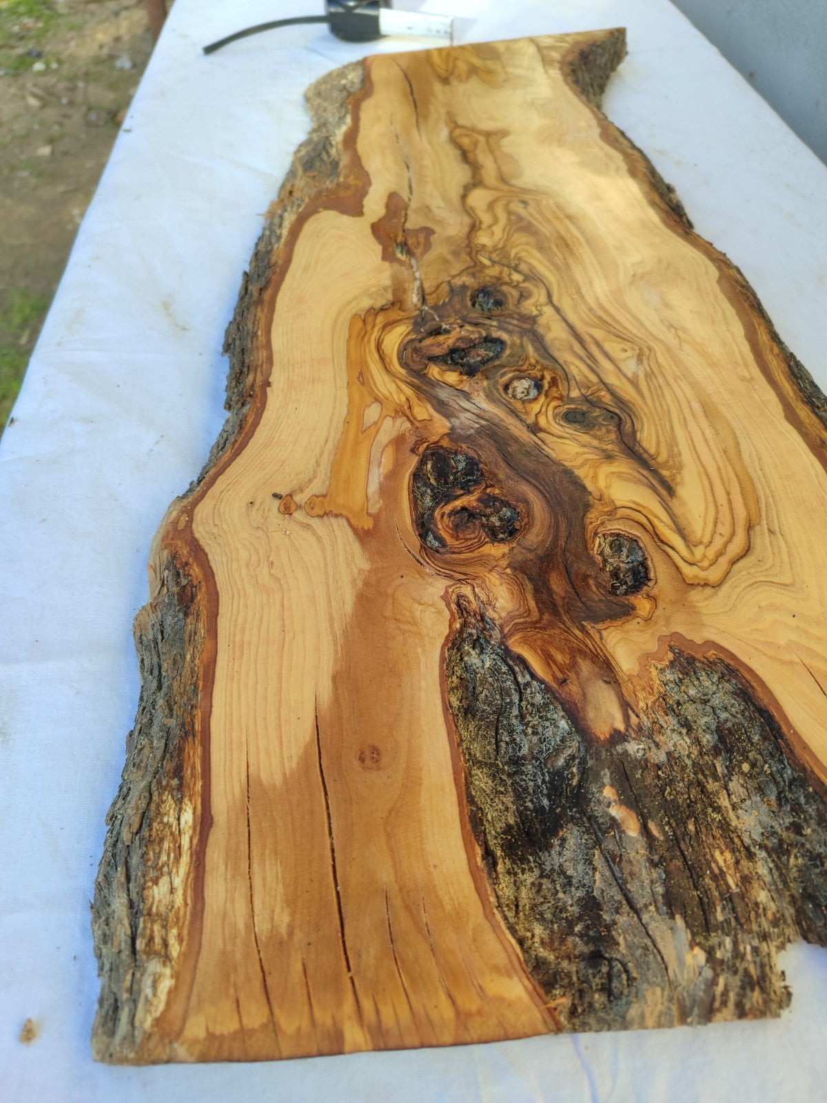 Extra Long Olive Wood Slab | Live Edge Wood Plank for Epoxy Table & Furniture.