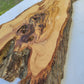 Extra Long Olive Wood Slab | Live Edge Wood Plank for Epoxy Table & Furniture.