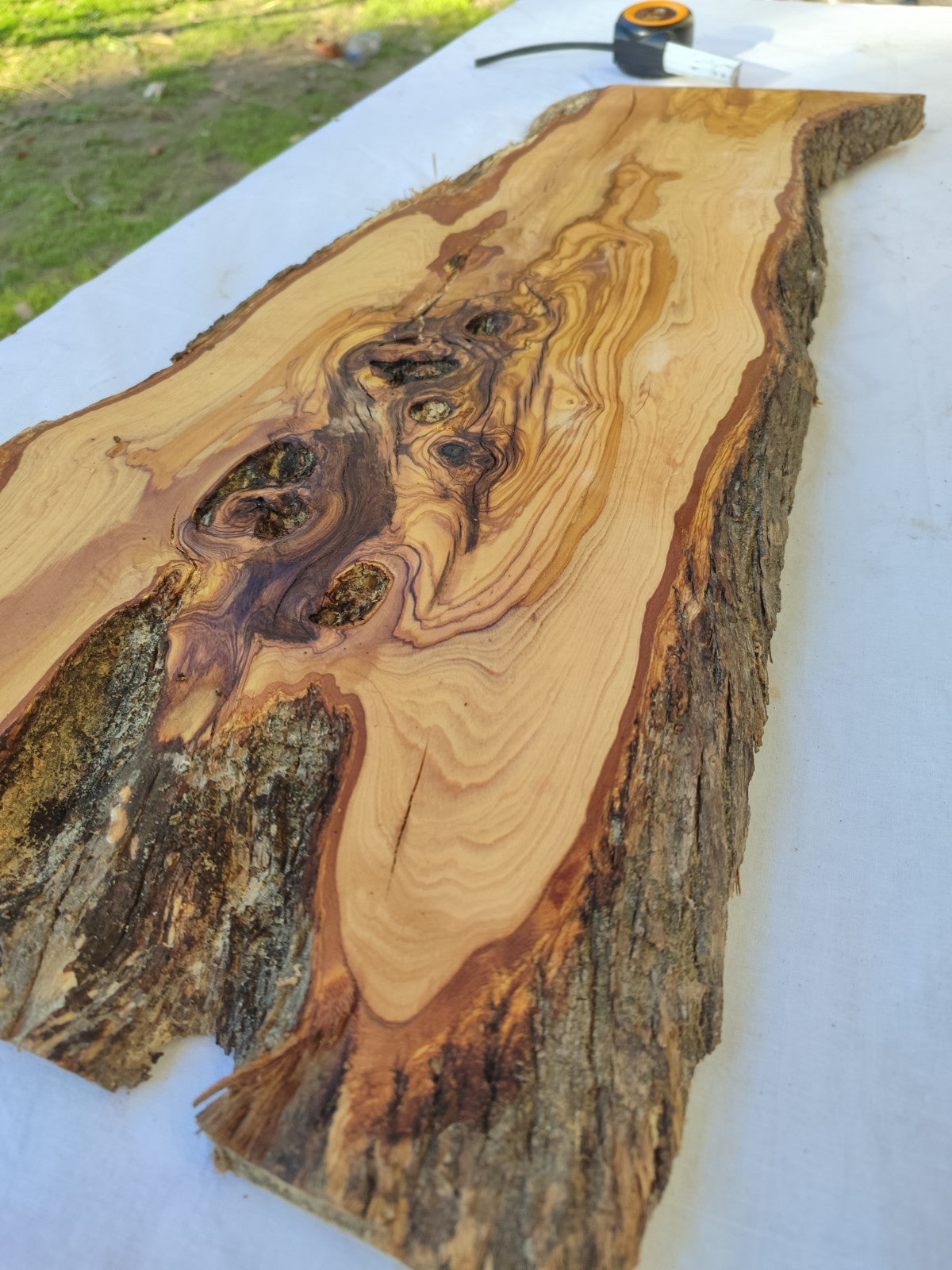 Extra Long Olive Wood Slab | Live Edge Wood Plank for Epoxy Table & Furniture.