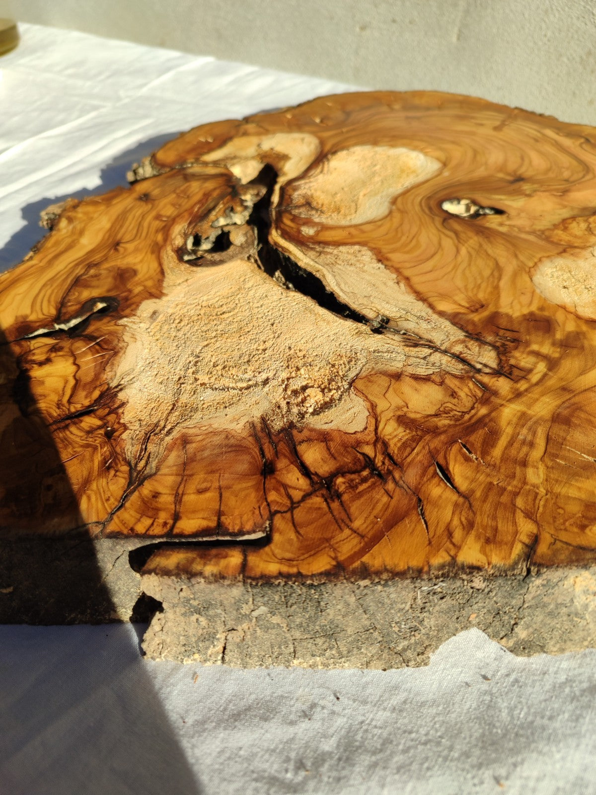 200+ Year Old Olive Wood Slab | Live Edge Olive Wood Slice for Epoxy Resin.