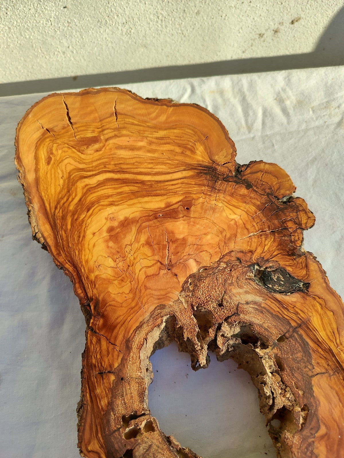 Large Olive Wood Slab 200+ Years | Live Edge Wood Slice 50x34cm for Epoxy.