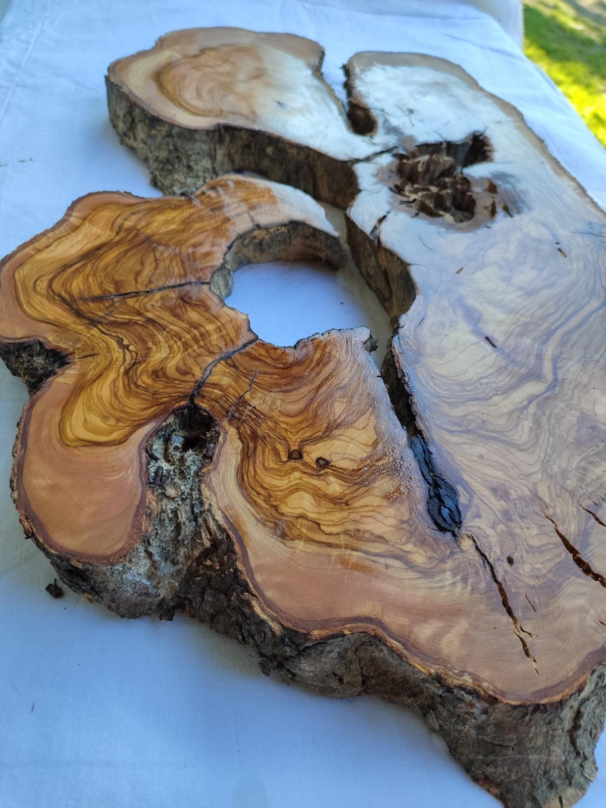 200+ Year Live Edge Olive Wood with Natural Voids for Epoxy Table.