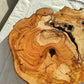 200+ Year Old Olive Wood Slab | Live Edge Olive Wood Slice for Epoxy.