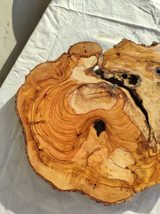200+ Year Old Olive Wood Slab | Live Edge Olive Wood Slice for Epoxy.
