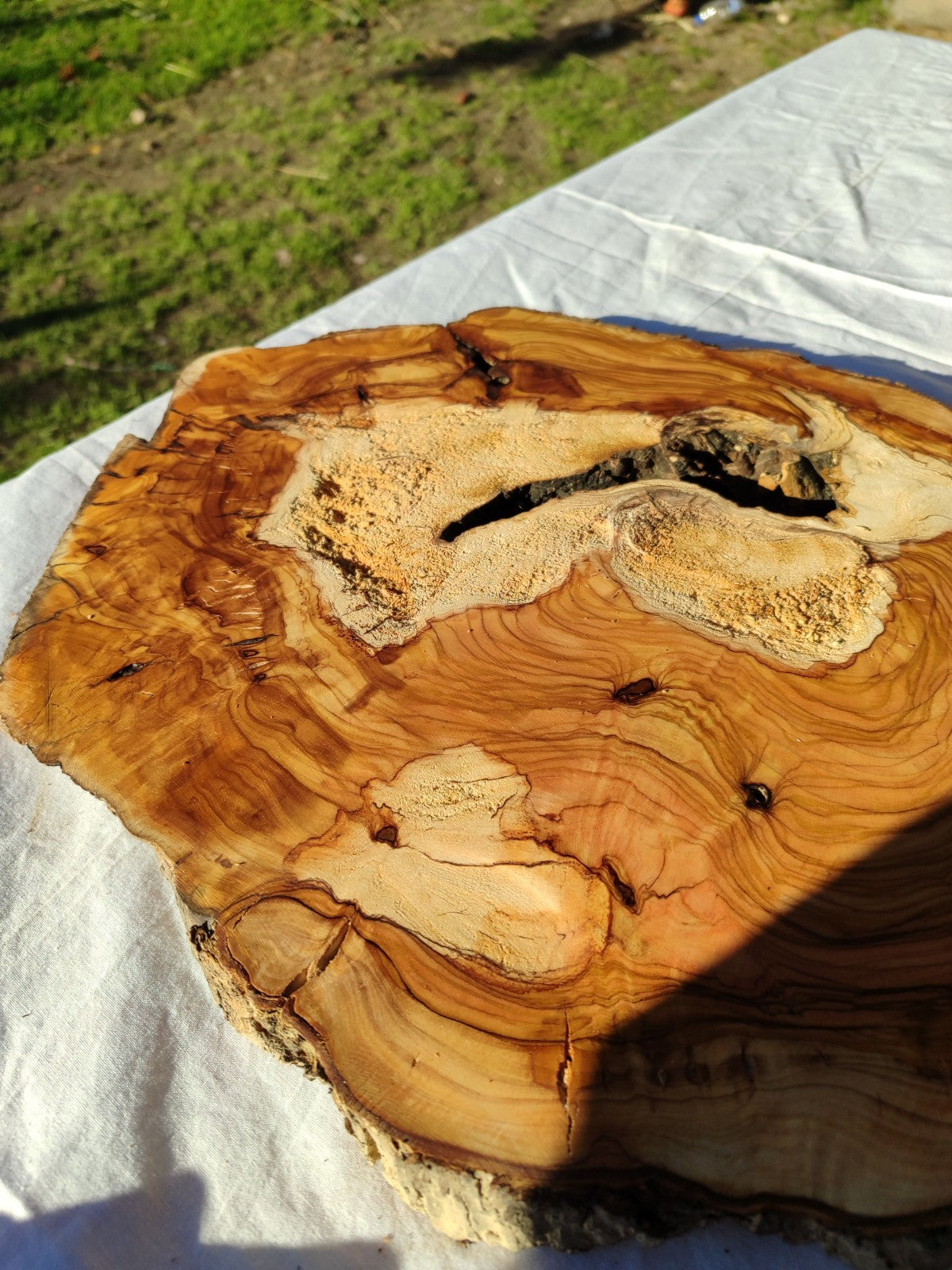 Natural Olive Wood Slab | Live Edge Olive Wood Slice for Craft, Woodworking.