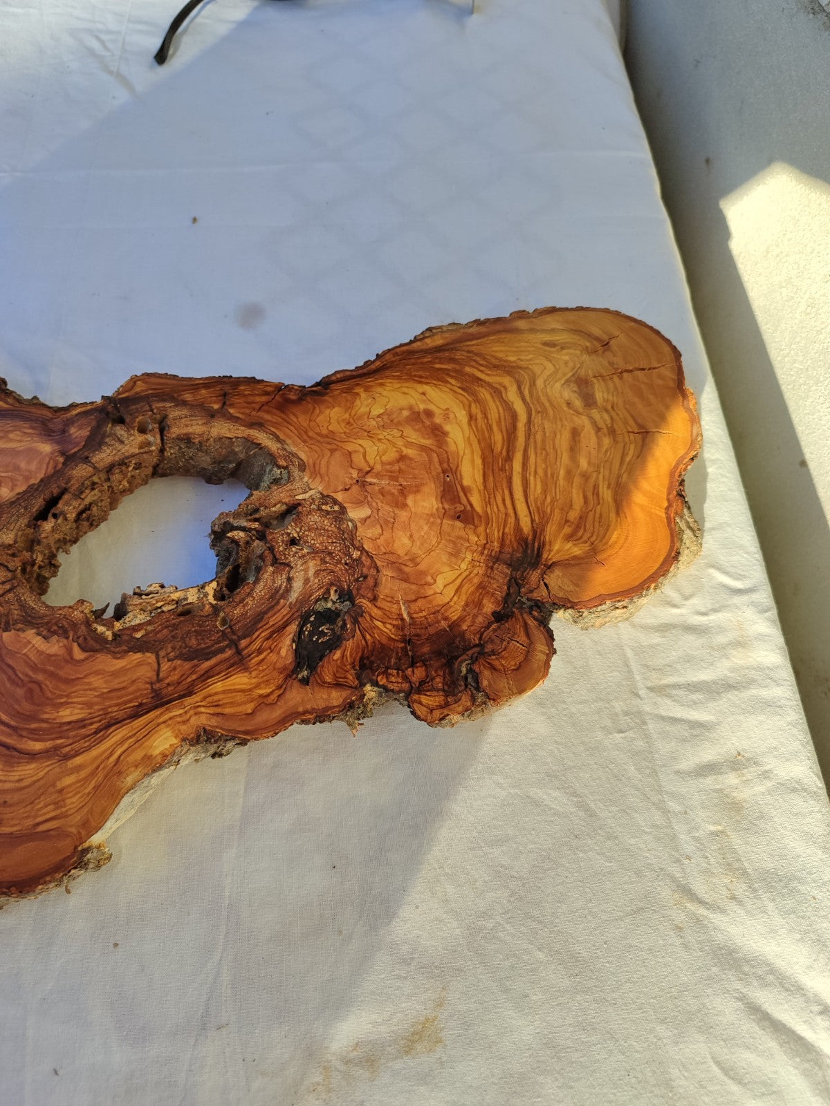Large Olive Wood Slab 200+ Years | Live Edge Wood Slice 50x34cm for Epoxy.