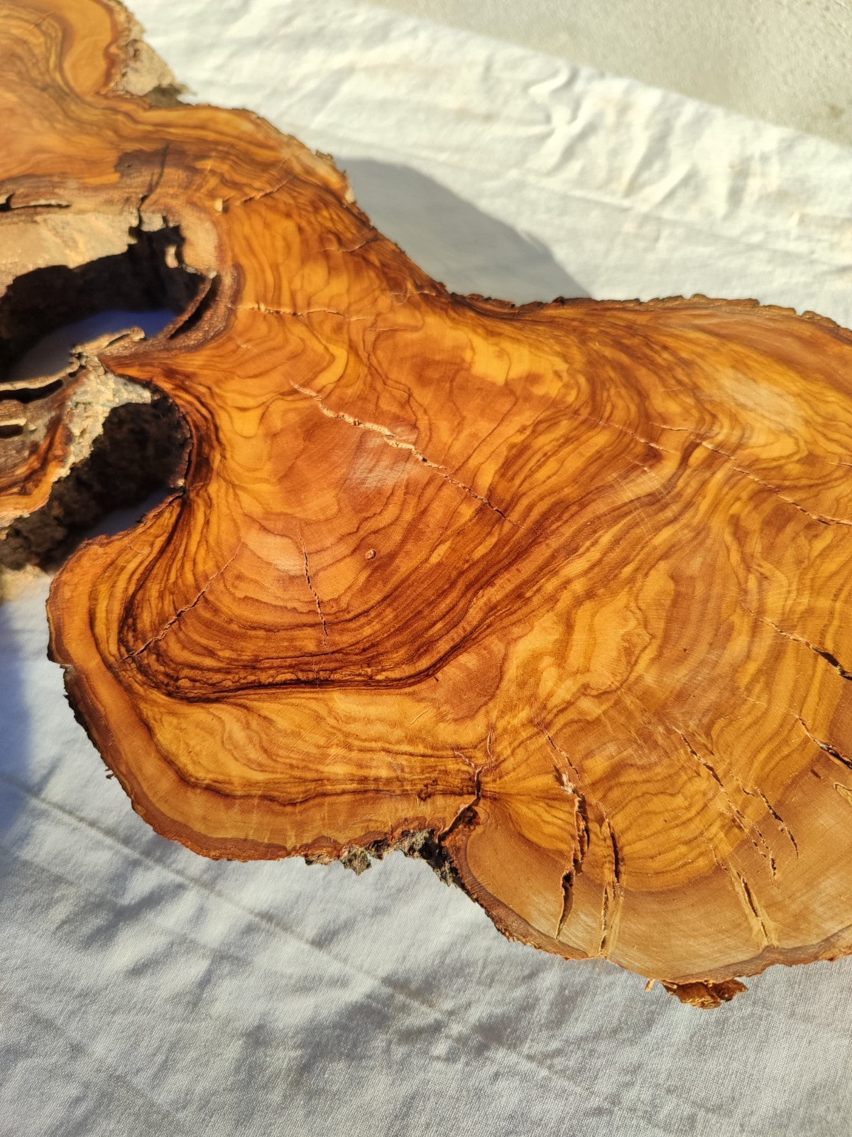 200+ Year Old Olive Wood Slab | Thick Live Edge Olive Wood Slice.