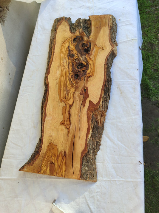Extra Long Olive Wood Slab | Live Edge Wood Plank for Epoxy Table & Furniture.
