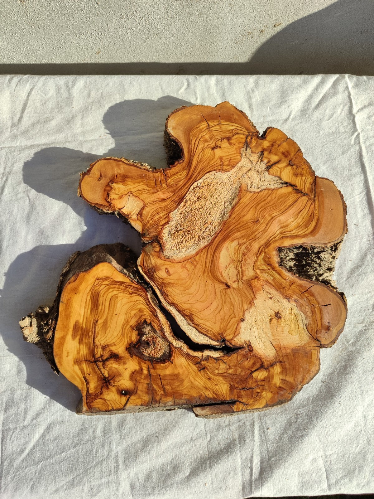 200+ Year Old Live Edge Olive Wood Slice for Epoxy Resin Art.