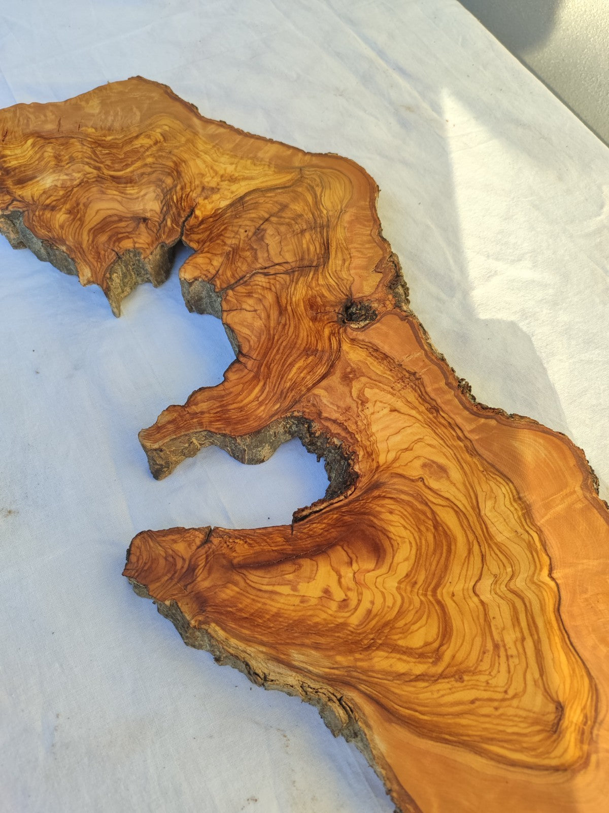 Long Olive Wood Slab | Live Edge Wood Slice for Sculptural Wall Art & Decor.