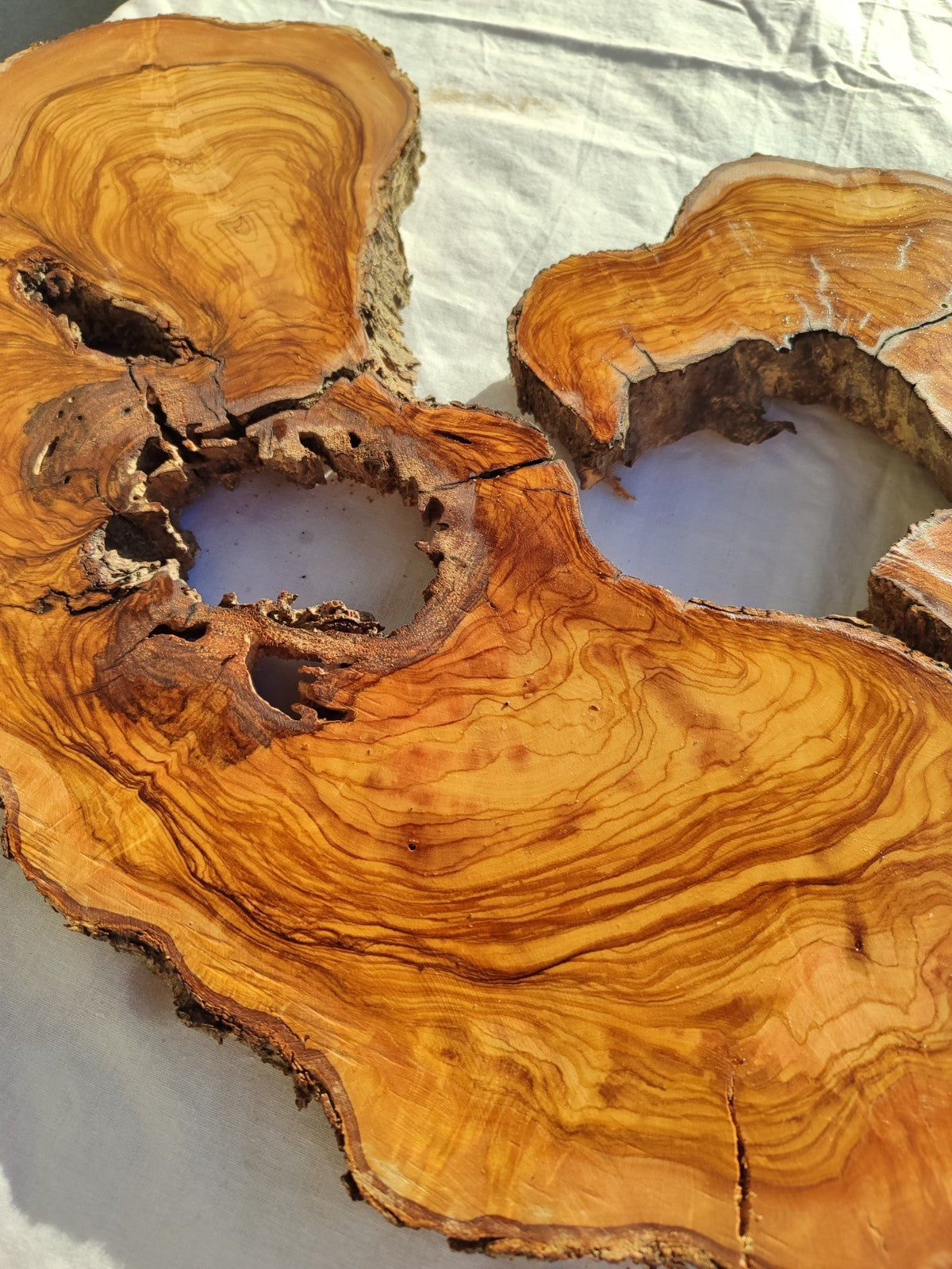 Large Olive Wood Slab 200+ Years | Live Edge Wood Slice 50x34cm for Epoxy.