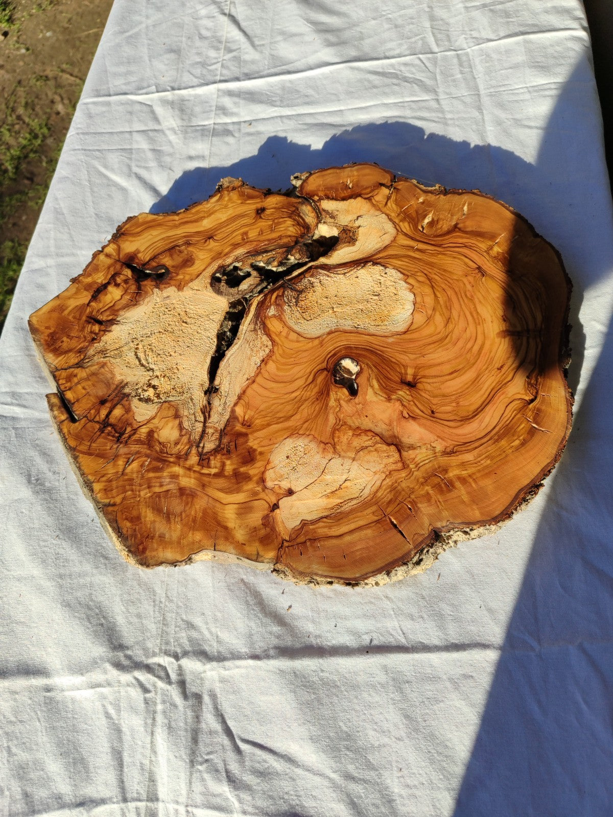 200+ Year Old Olive Wood Slab | Live Edge Olive Wood Slice for Epoxy Resin.