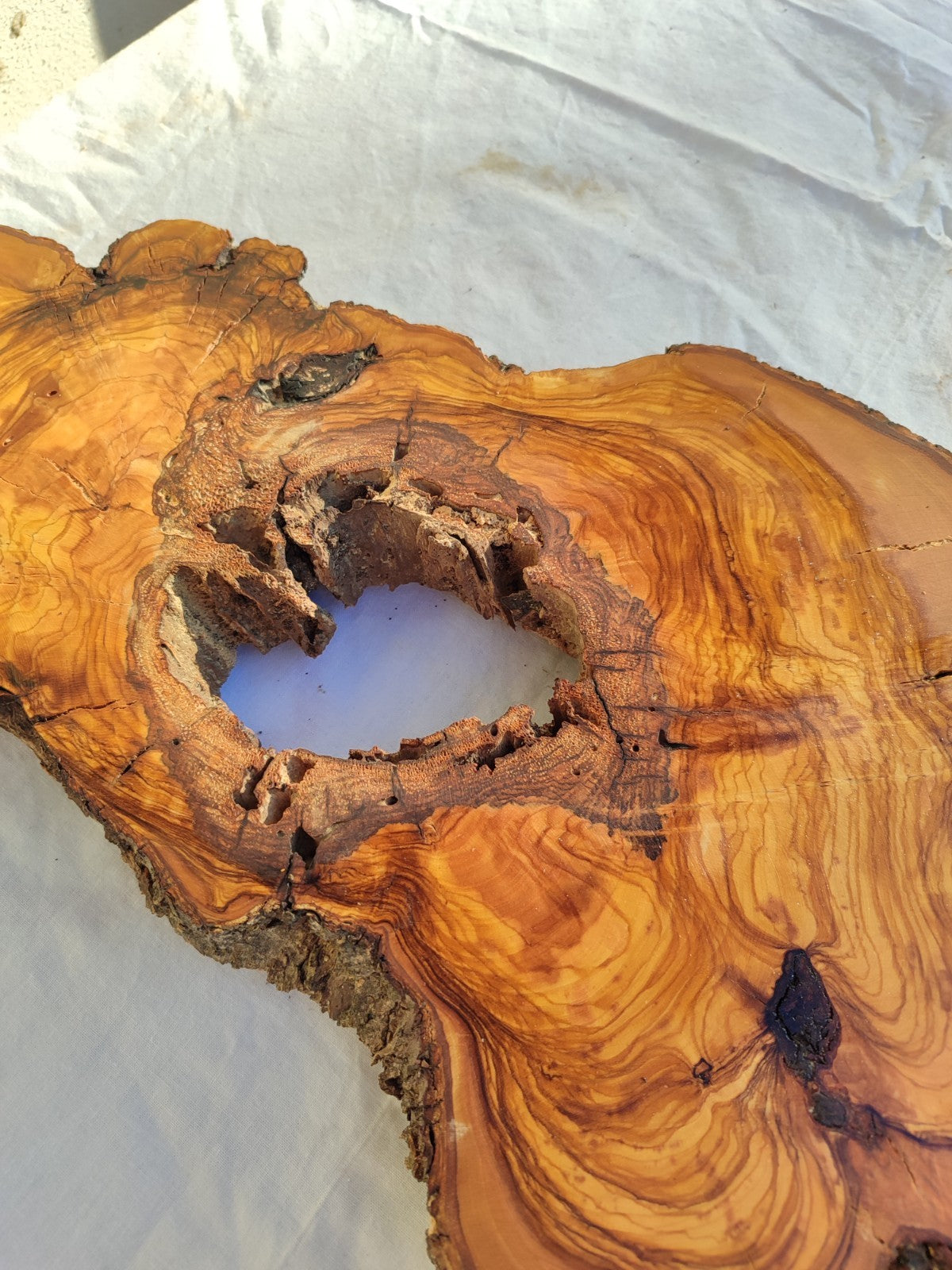 Large Olive Wood Slab 200+ Years | Live Edge Wood Slice 50x34cm for Epoxy.
