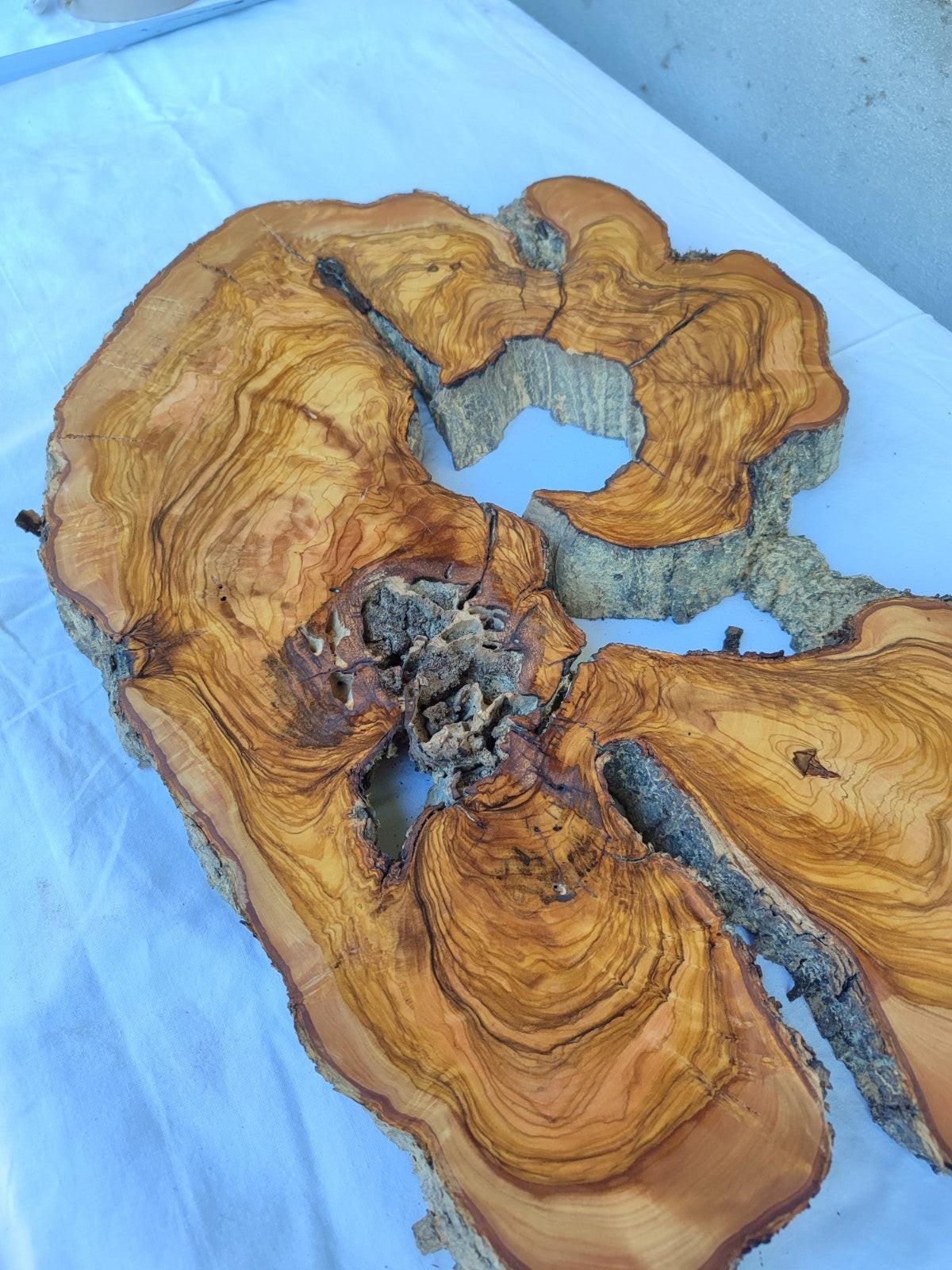200+ Year Live Edge Olive Wood with Natural Voids for Epoxy Table.