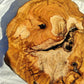 200+ Year Old Olive Wood Slab | Live Edge Olive Wood Slice for Epoxy.