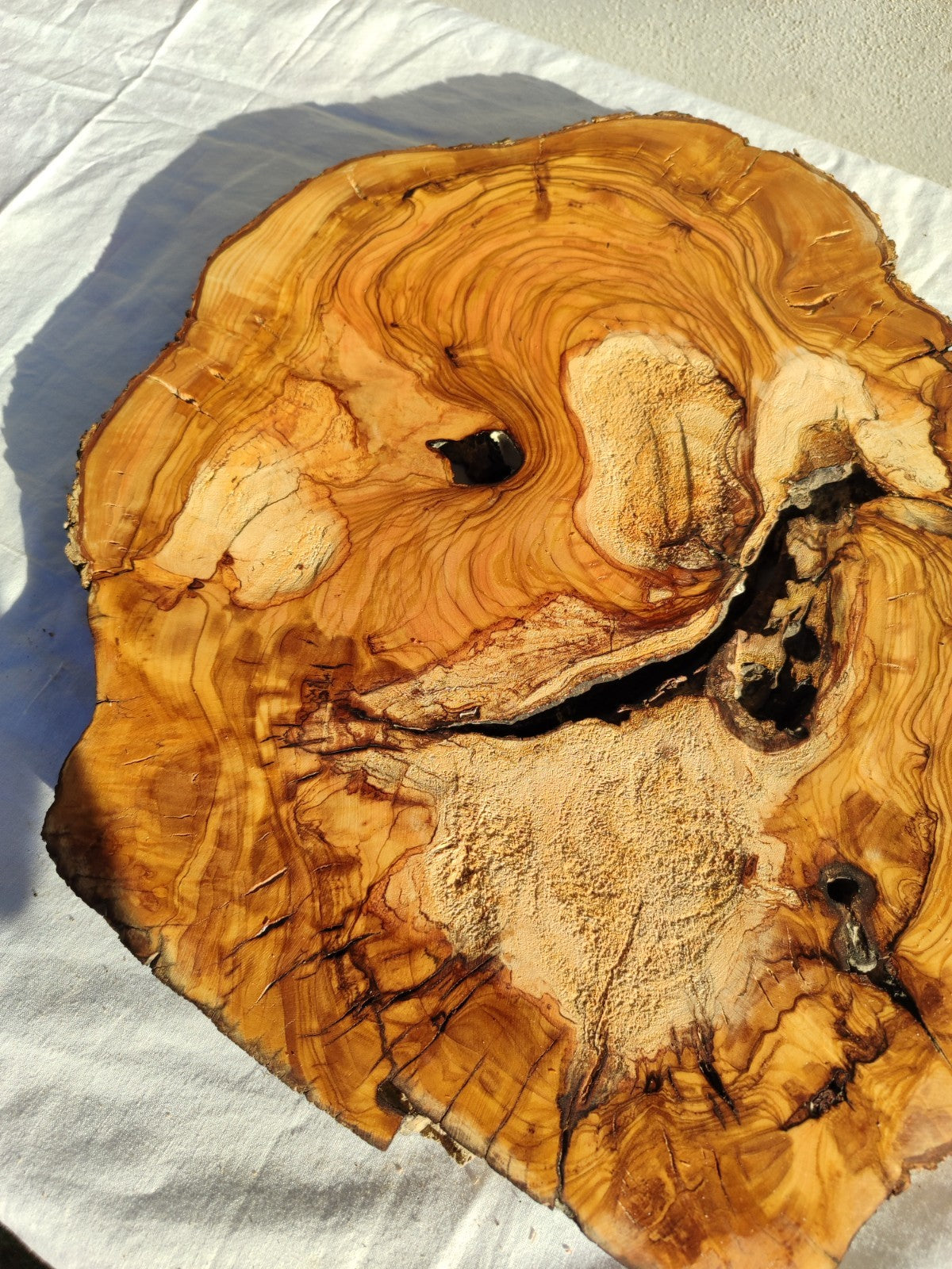 200+ Year Old Olive Wood Slab | Live Edge Olive Wood Slice for Epoxy.