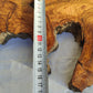Long Olive Wood Slab | Live Edge Wood Slice for Sculptural Wall Art & Decor.