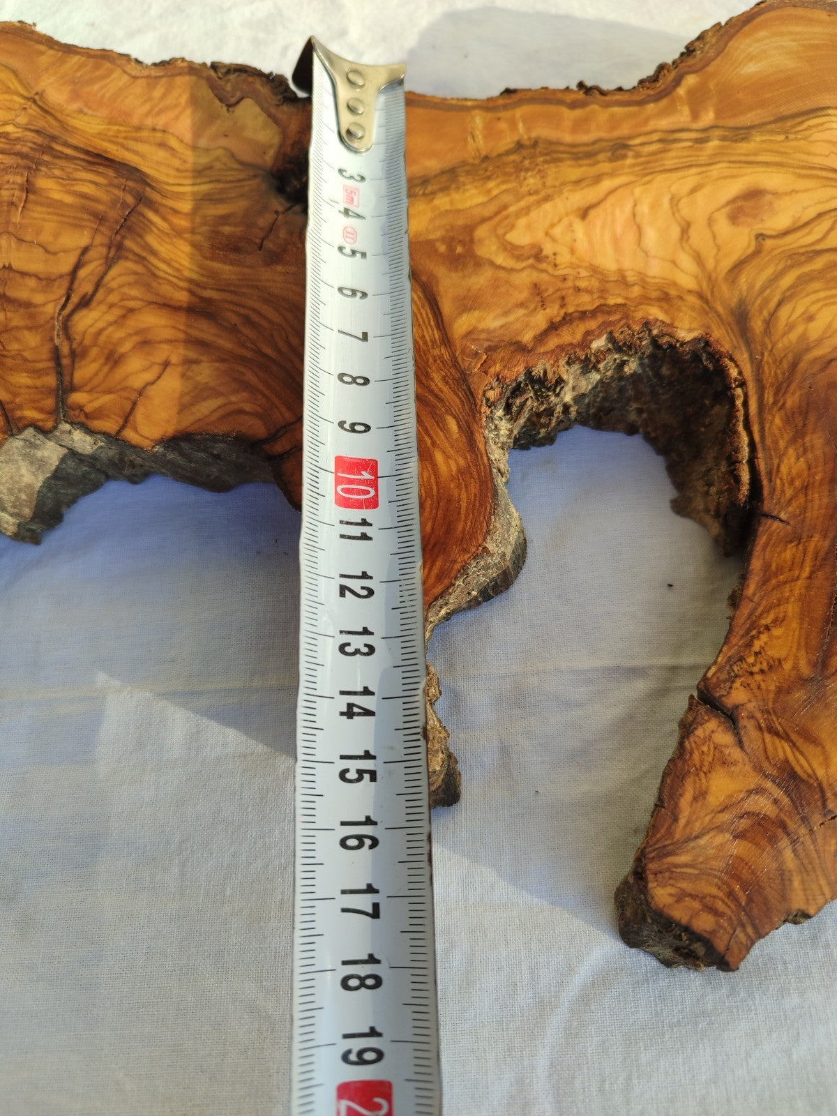 Long Olive Wood Slab | Live Edge Wood Slice for Sculptural Wall Art & Decor.