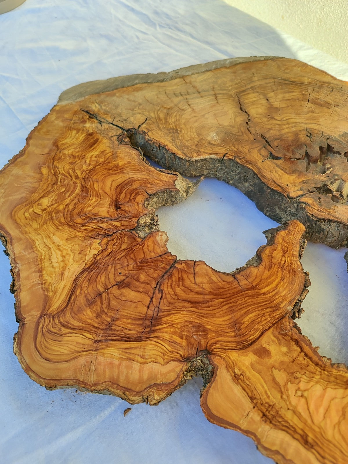 200+ Year Old Olive Wood Slab | Large Live Edge Olive Wood Slice with Voids.