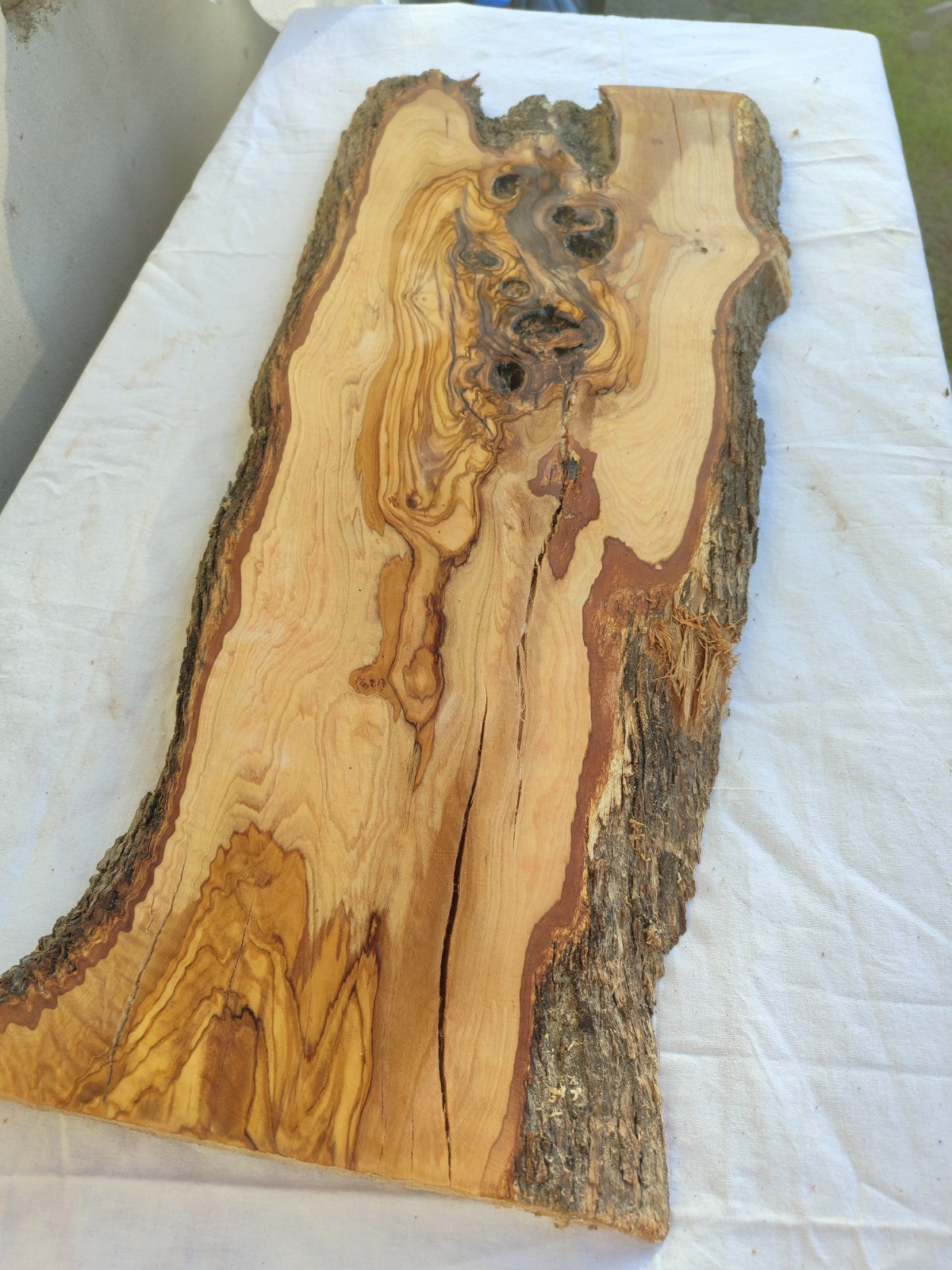 Extra Long Olive Wood Slab | Live Edge Wood Plank for Epoxy Table & Furniture.