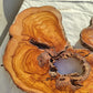 Large Olive Wood Slab 200+ Years | Live Edge Wood Slice 50x34cm for Epoxy.