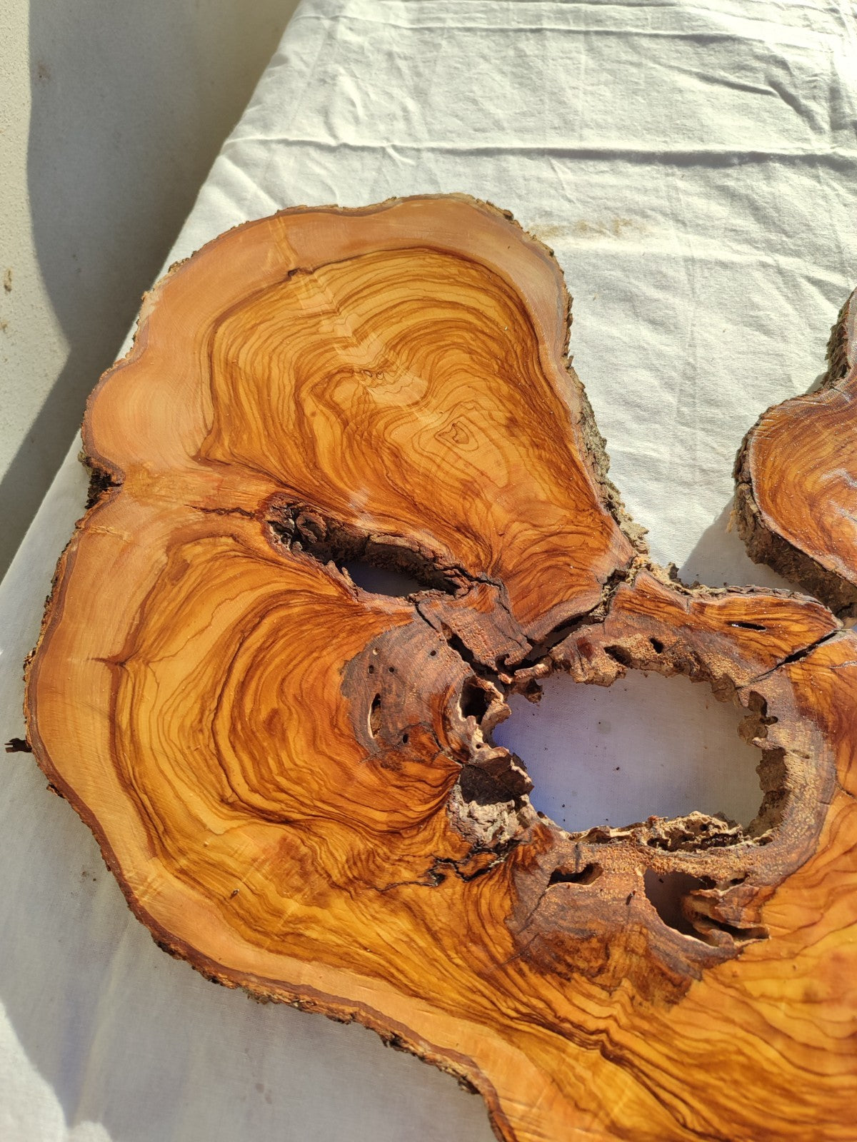 Large Olive Wood Slab 200+ Years | Live Edge Wood Slice 50x34cm for Epoxy.