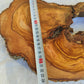 200+ Year Old Olive Wood Slab | Long Live Edge Olive Wood Slice.