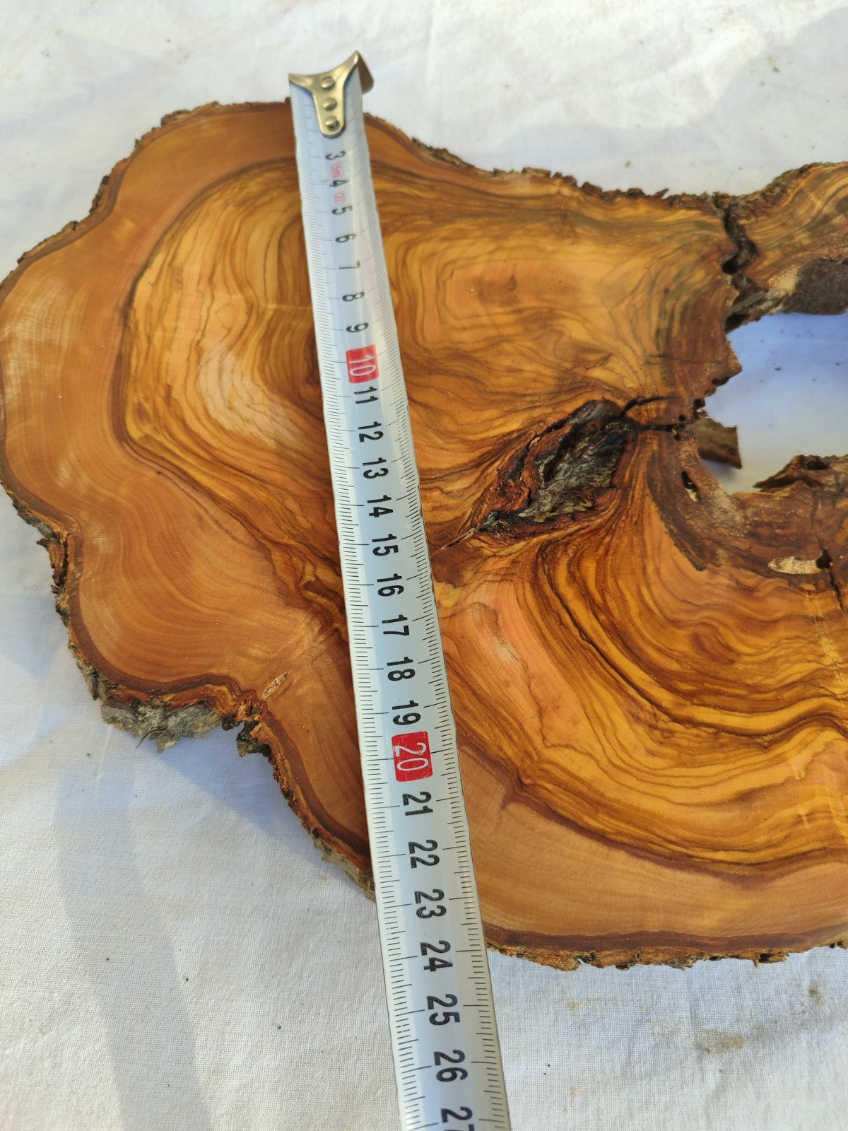 200+ Year Old Olive Wood Slab | Long Live Edge Olive Wood Slice.