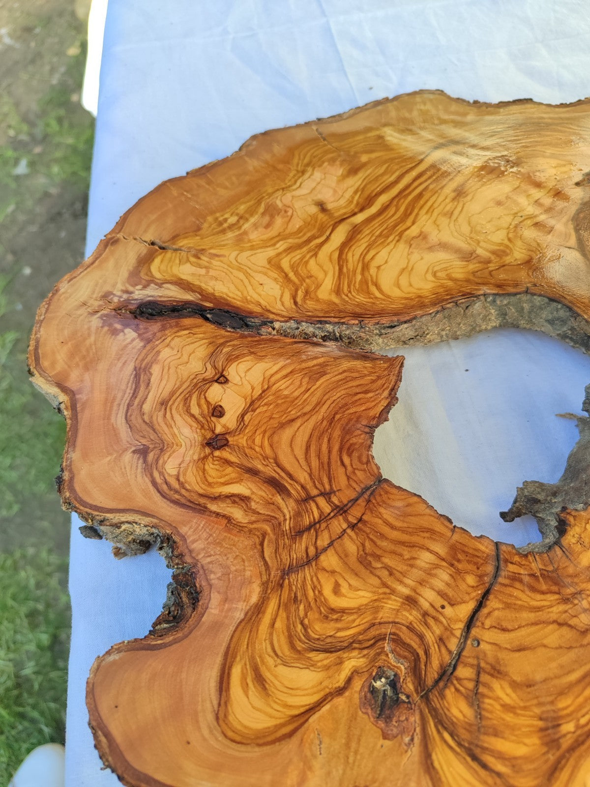 Large Olive Wood Slab 200+ Years | Live Edge Wood Slice 50x34cm for Epoxy.