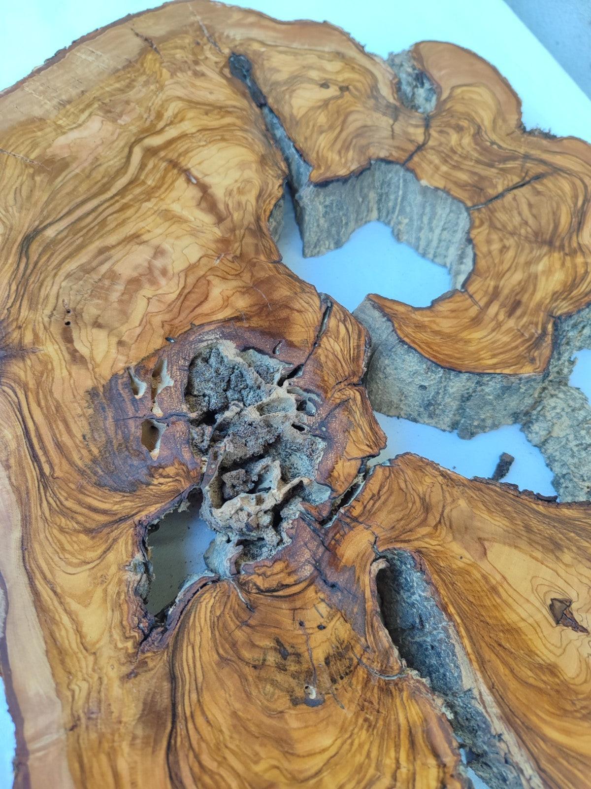 200+ Year Live Edge Olive Wood with Natural Voids for Epoxy Table.
