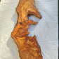 Long Olive Wood Slab | Live Edge Wood Slice for Sculptural Wall Art & Decor.