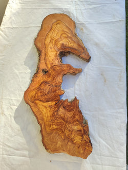 Long Olive Wood Slab | Live Edge Wood Slice for Sculptural Wall Art & Decor.
