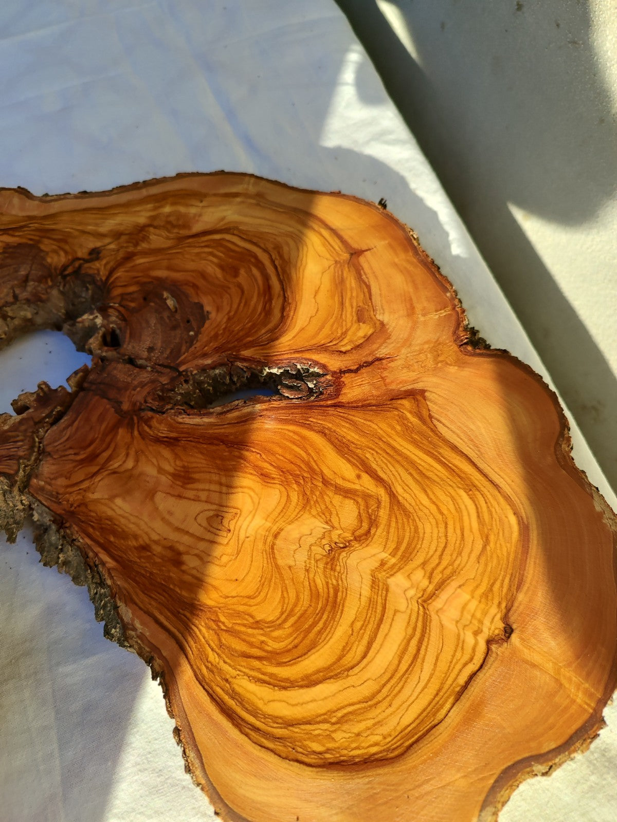 Large Olive Wood Slab 200+ Years | Live Edge Wood Slice 50x34cm for Epoxy.