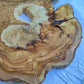 Natural 200+ Year Old Live Edge Wood Slice for Craft & Woodworking.
