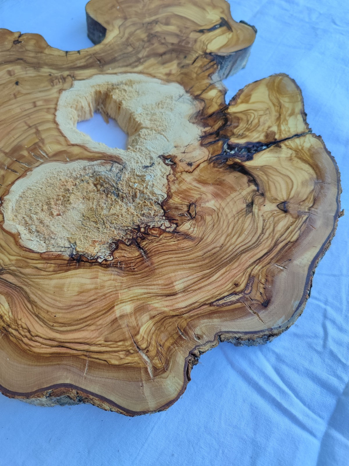 Natural 200+ Year Old Live Edge Wood Slice for Craft & Woodworking.