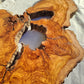 200+ Year Old Olive Wood Slab | Large Live Edge Olive Wood Slice with Voids.
